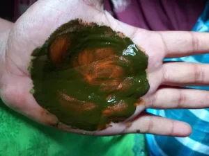 Silk Blend Henna Combo photo review